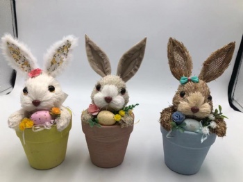 Easter Bunny Potted