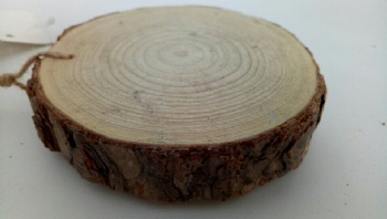 wood slice in bundle