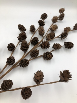 Mini pinecone spray 70x11x2cm