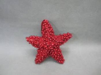 red berry star 22x22cm