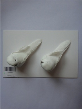 2 white feather birds