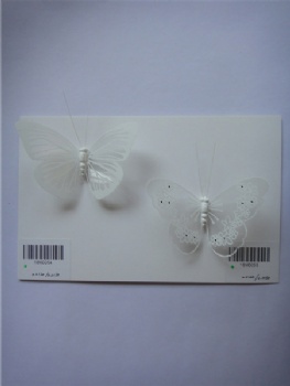 two style fluorescence butterfly