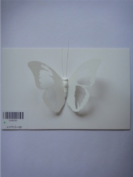 3 style white pvc fluorescence butterfly