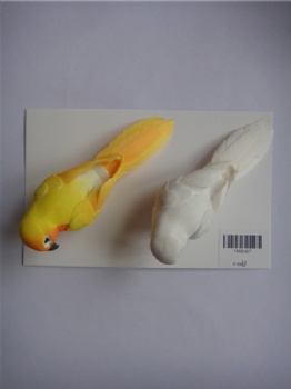 6 colors parrot