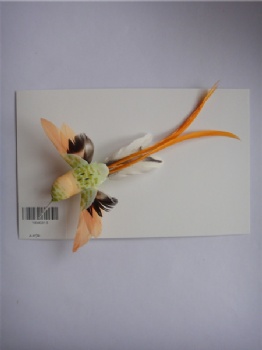 6 style feather trochilus