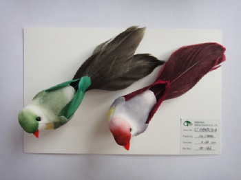 8 colors feather bird