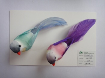 8 colors feather bird