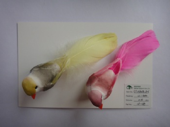 8 colors feather bird