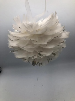 feather ball