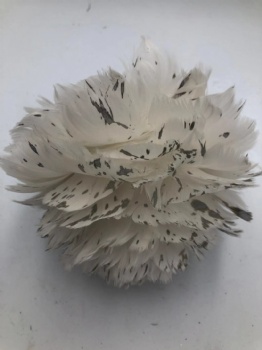 feather ball