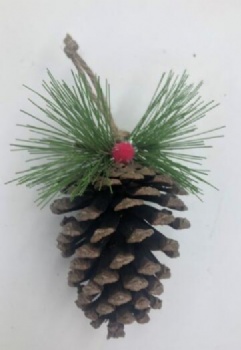 Christmas pinecone hanger