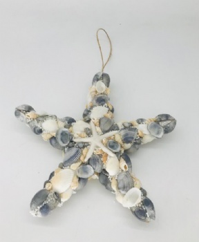 Summer Sea Star