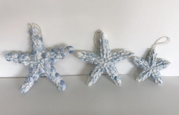 Summer Sea Star