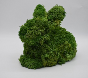 Spring Moss Rabbit