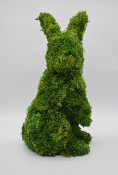 Spring Moss Rabbit