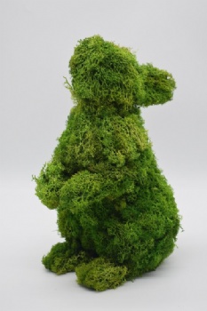 Spring Moss Rabbit