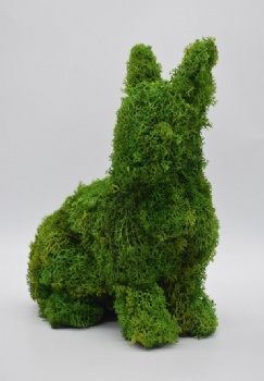 Spring Moss Rabbit