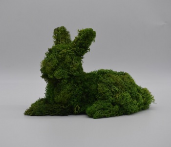 Spring Moss Rabbit