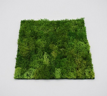 Spring Moss Square,Rectangle