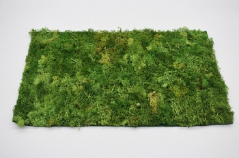 Spring Moss Square,Rectangle