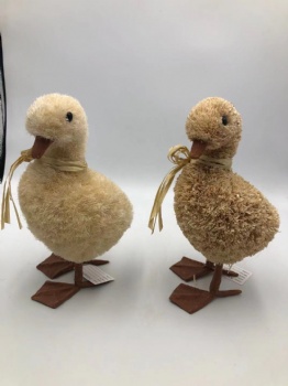 Goose & Duck