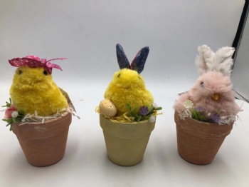 Easter Chicken Potted