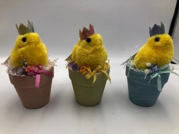 Easter Chicken Potted