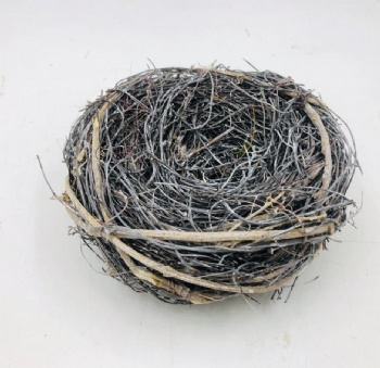 Bird Nest