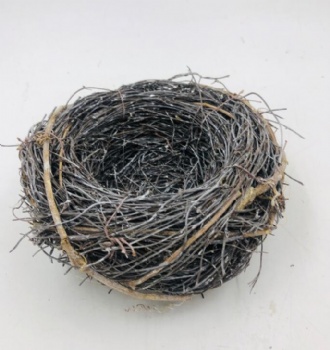 Bird Nest