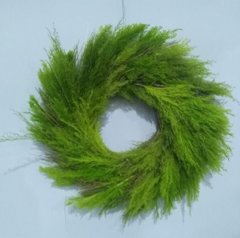 Spring Wreath