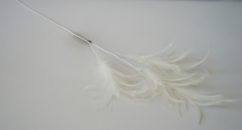 Feather hanger