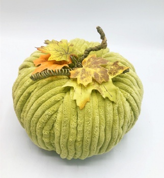 Fall (Autumn) Pumpkin