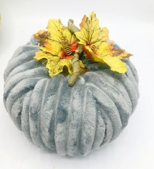 Fall (Autumn) Pumpkin