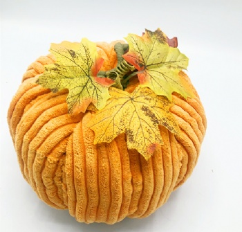 Fall (Autumn) Pumpkin