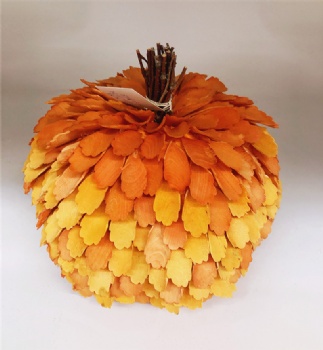 Fall (Autumn) Pumpkin