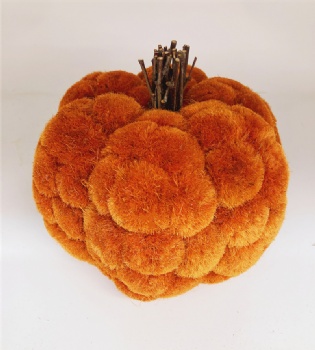 Fall (Autumn) Pumpkin