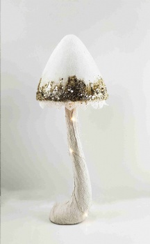 Mushroom, White