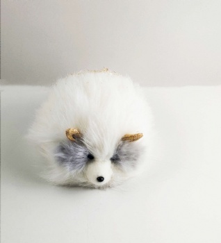 Hedgehog White