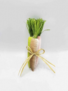 Spring Carrot box and three colors