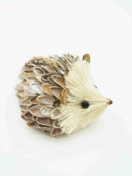 Pine Nut Shell Hedgehog