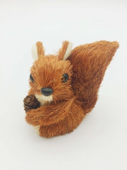 Brown Sisal Squirrel, Fox