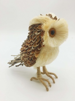 Natural Owl