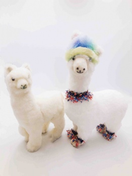 Alpaca, White