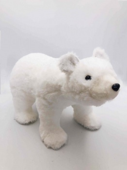 Bear White