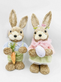 Pair of Rabbit