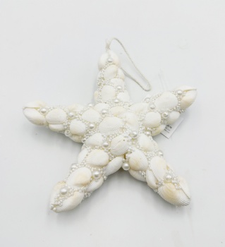 Shell Star