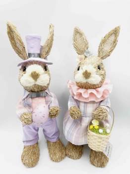 Purple Pairs Rabbit