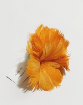 Feather Flower Click