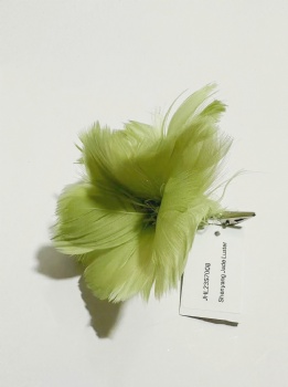 Feather Flower Click