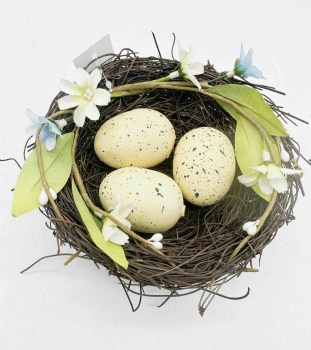 Egg Nest